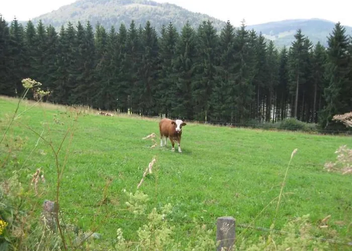 Kleine Auszeit Daire